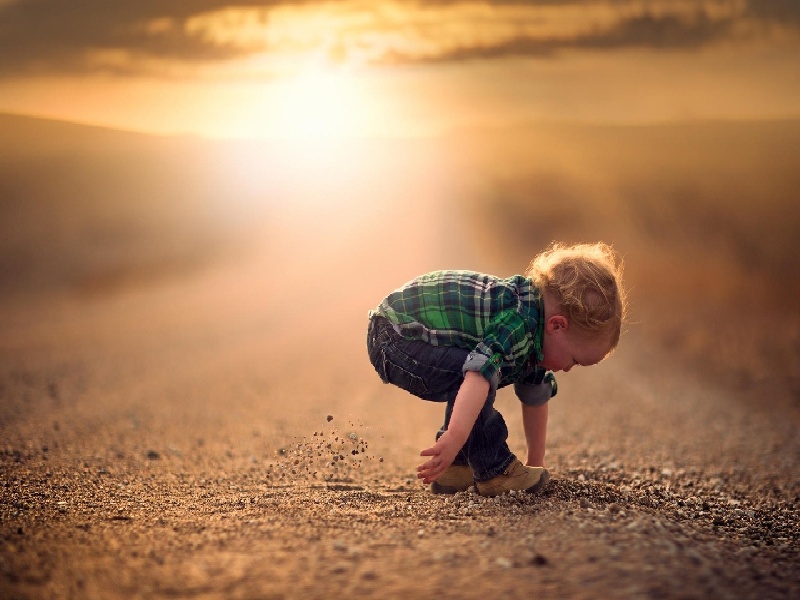 多囊试管东北试管移植竹叶菜用试管摆成造型